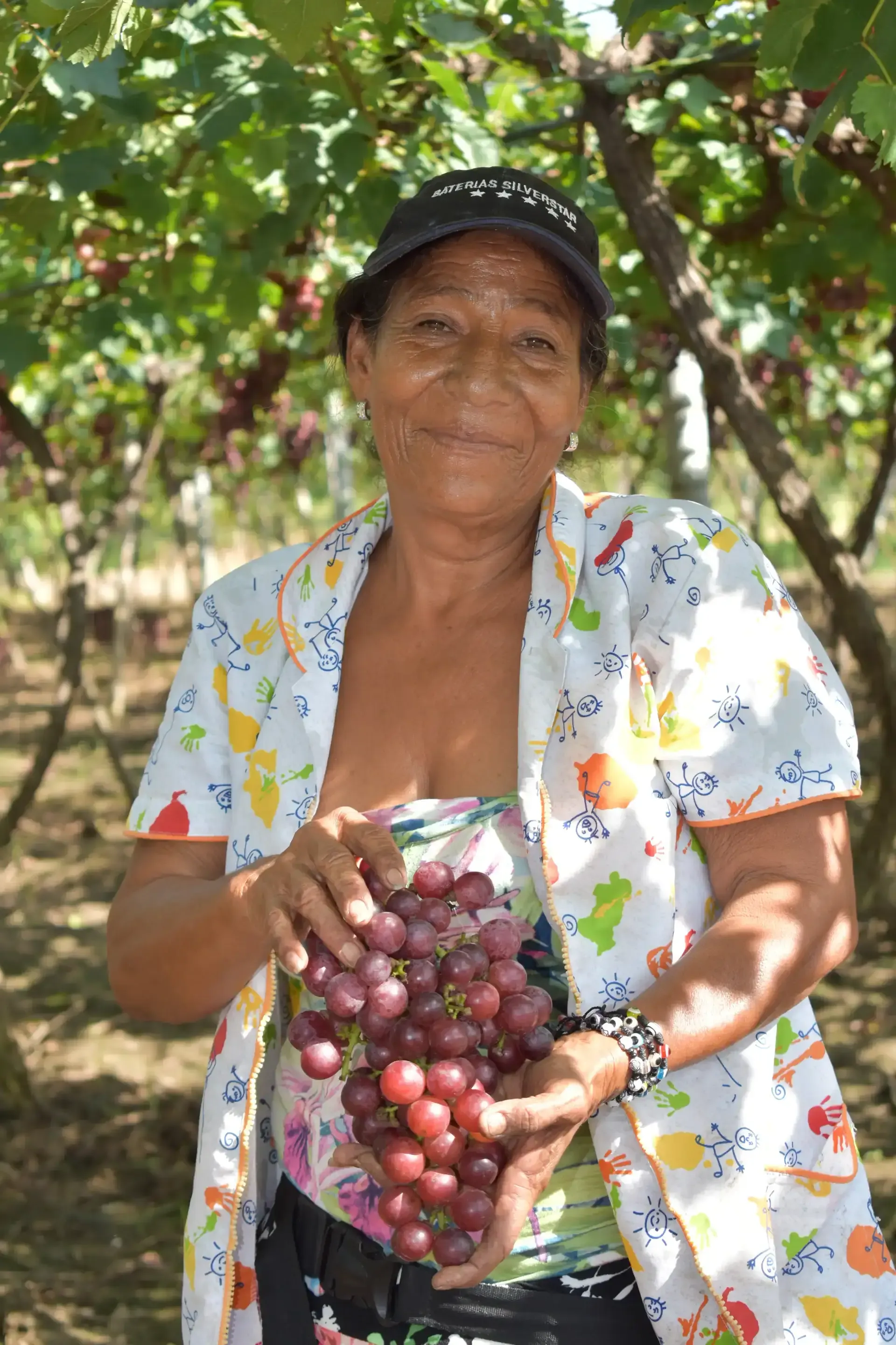 Campesinos