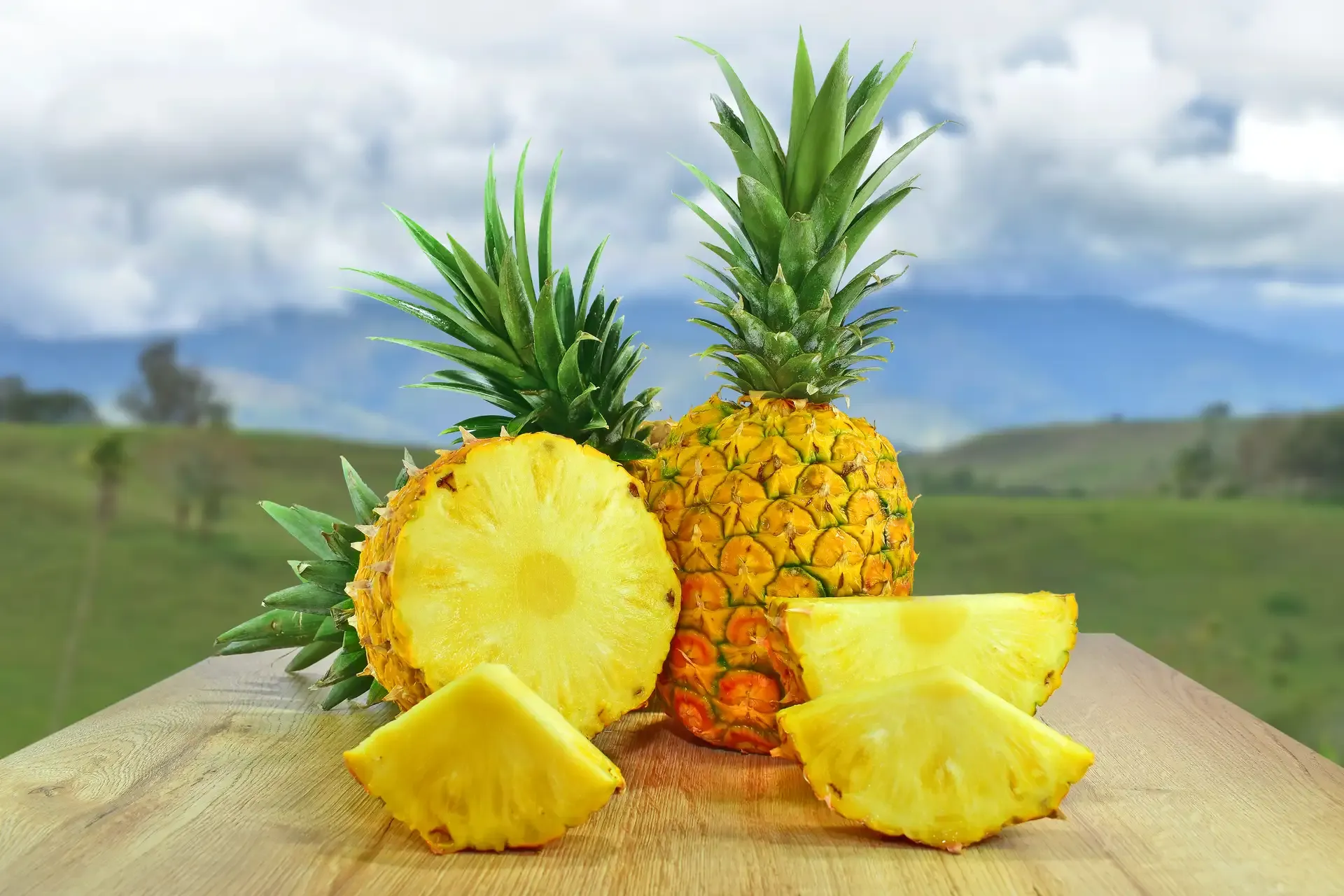 Productos